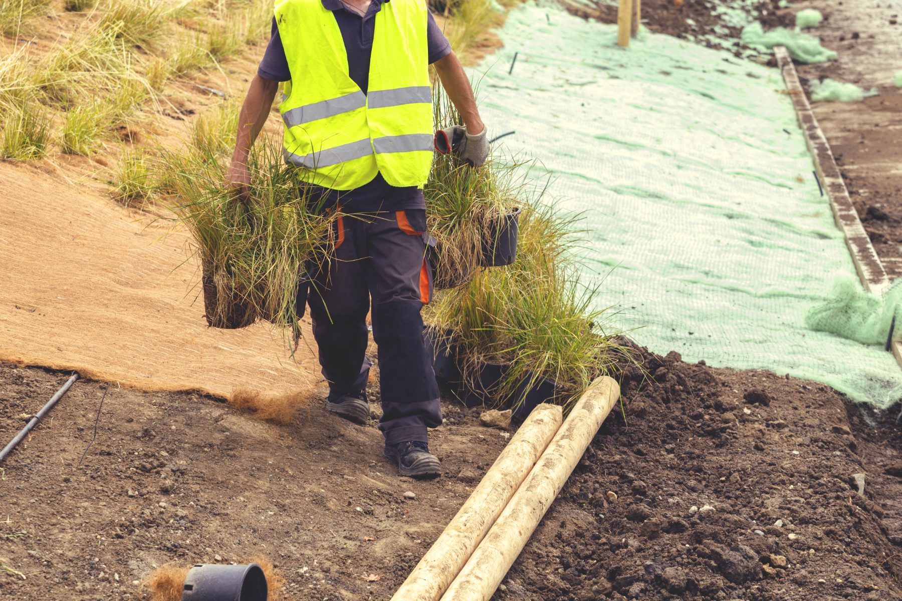 Worker carrying plants on a landscape construction site.